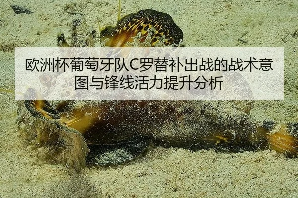 欧洲杯葡萄牙队C罗替补出战的战术意图与锋线活力提升分析