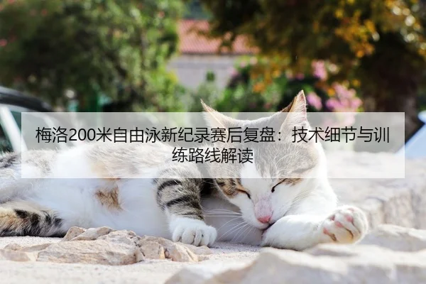 梅洛200米自由泳新纪录赛后复盘：技术细节与训练路线解读
